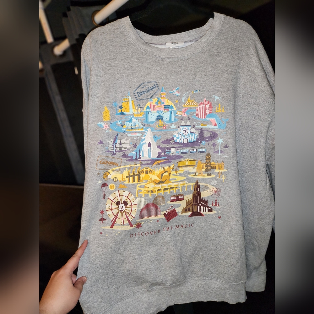 Disneyland resort Hanes 2x sweater